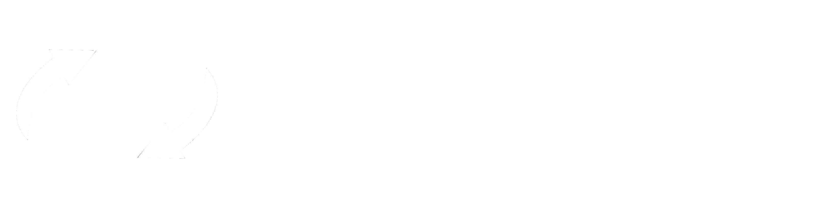Premier Recycle